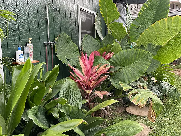 66-351 Haleiwa Rd — Photo 25