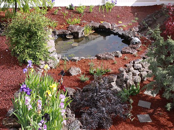 Pond Area