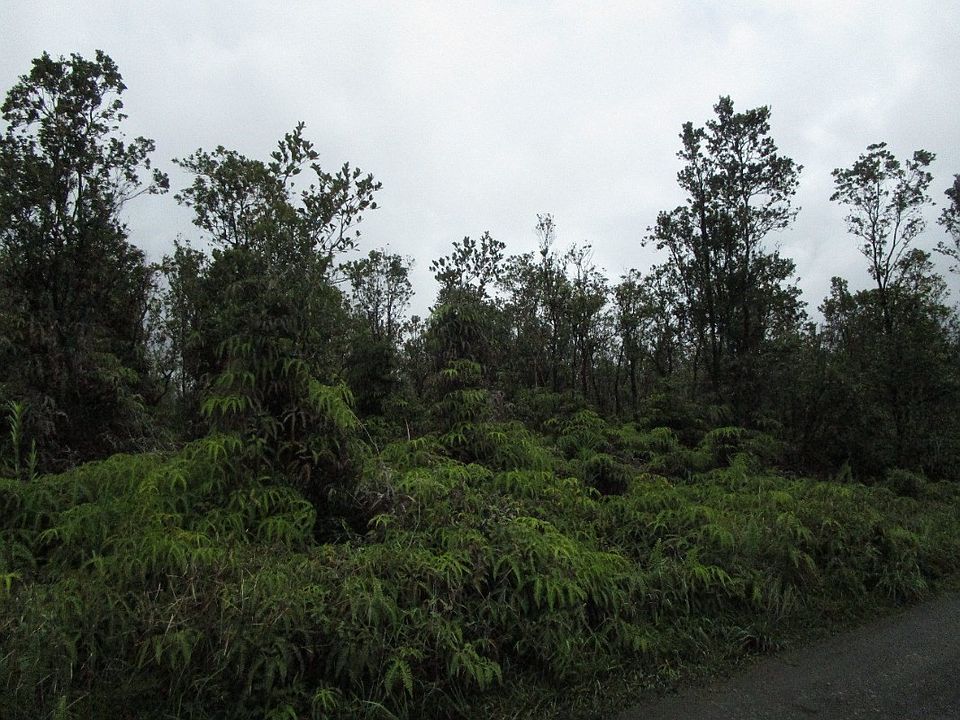 2nd image of Kaleponi Rd Lot 70