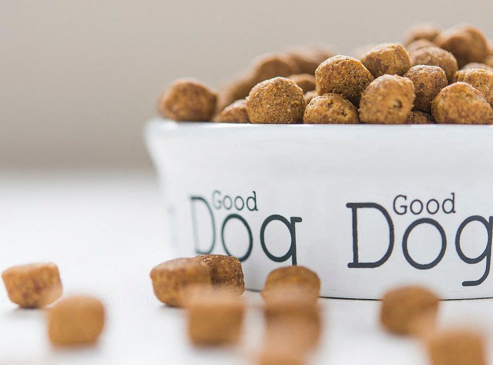 All dogs are welcome at Mariners Green Apartments.