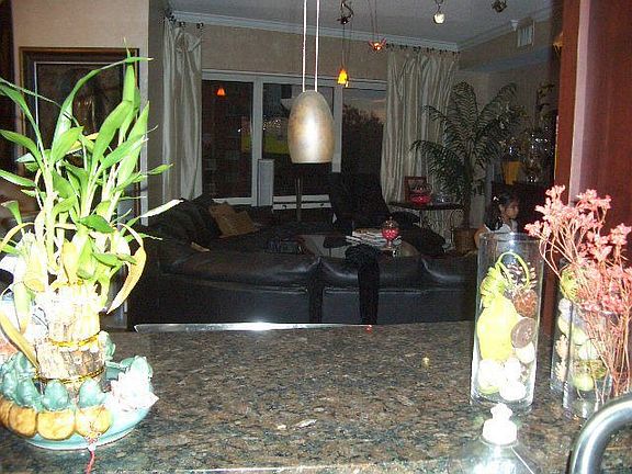 Kitchen looks out to Living Room