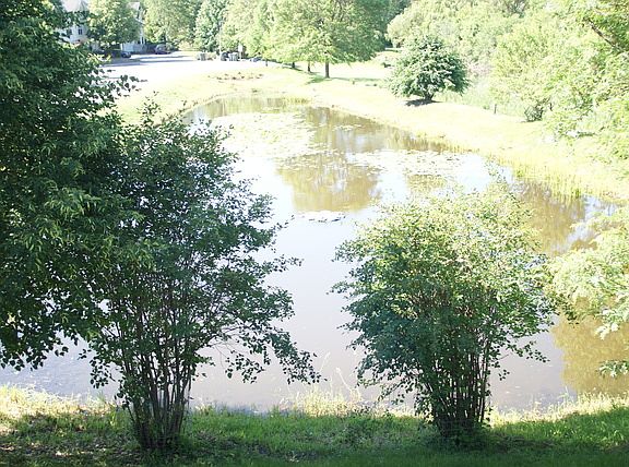 2nd image of 7212 S Flagg Creek Dr