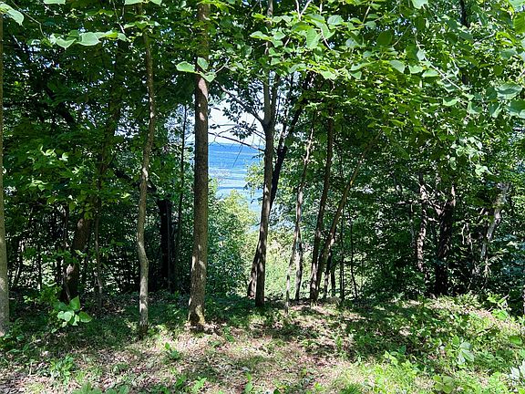 2nd image of 49137 360th St