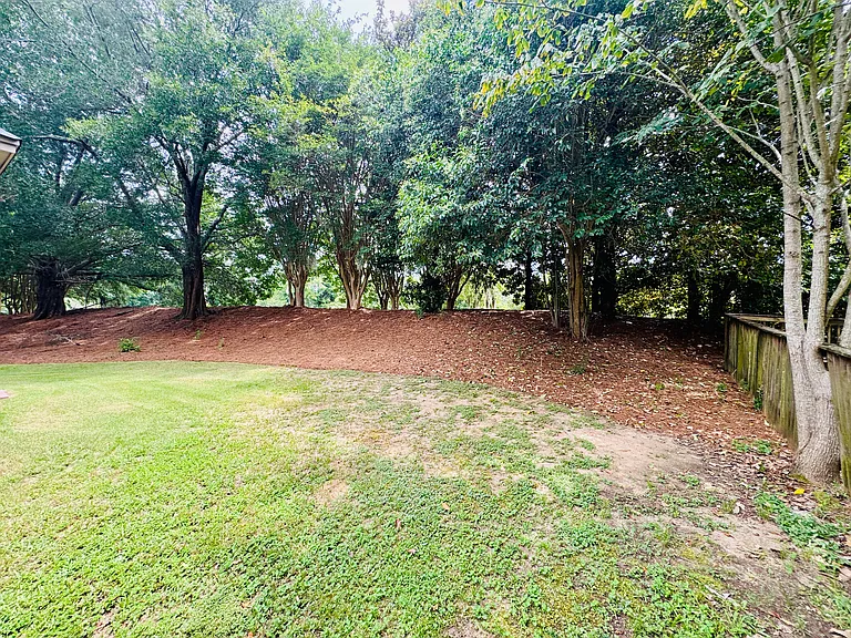 8707 Morning Pl — Photo 102