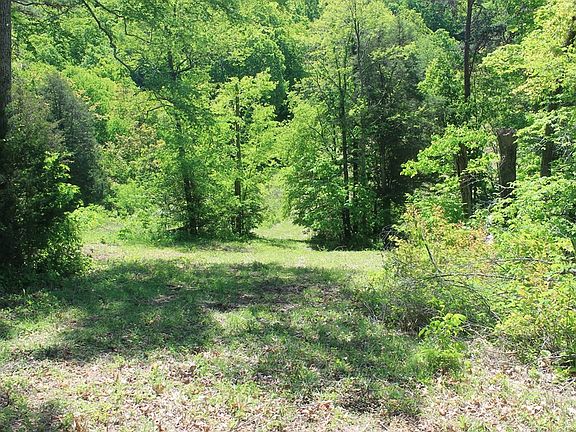3rd image of 0 Rhodes Rd