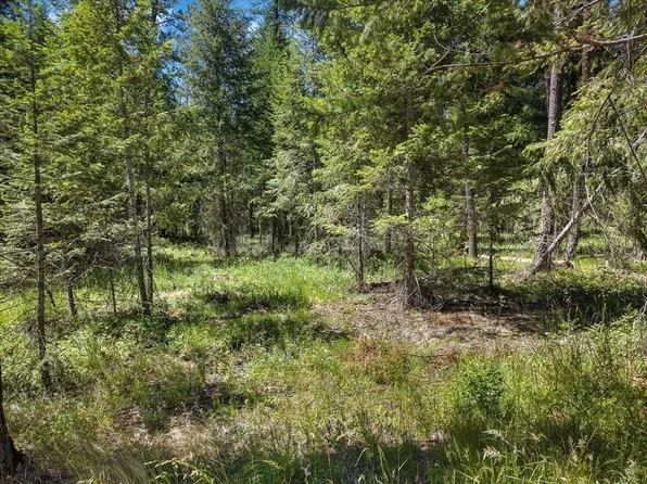 305XX N Cleveland Rd, Deer Park, WA 99006