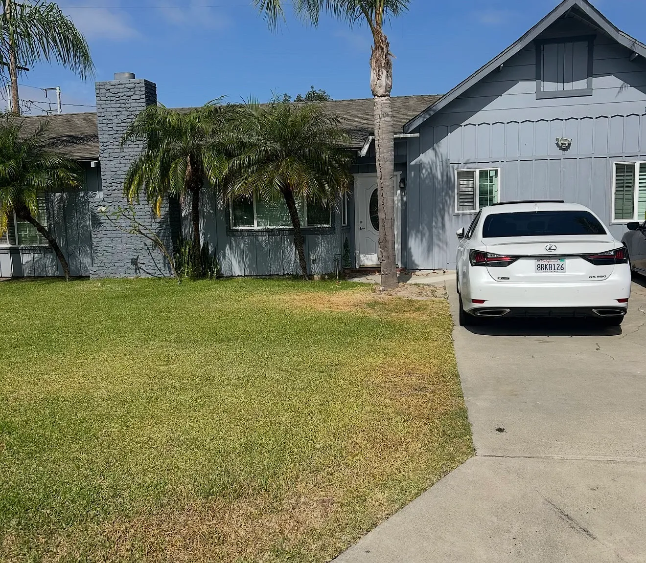 1 bed, $1,300 — Photo 1