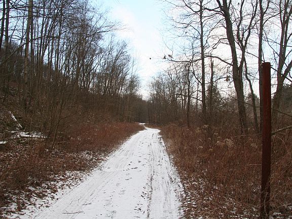 2nd image of Ridge St