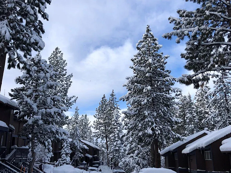 1410 Ski Run Blvd — Photo 18