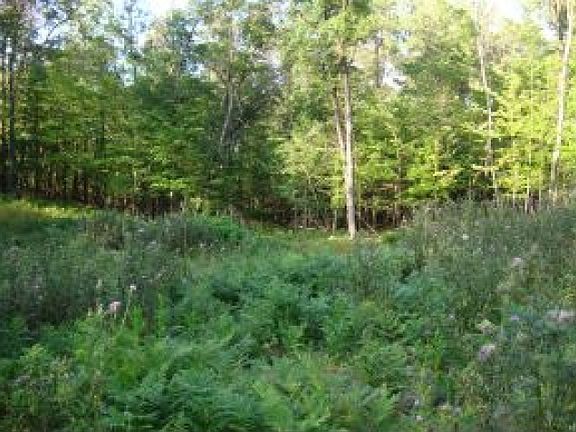 4th image of Wildwood Lake Cir Lot 20