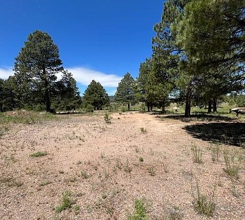 3601 E Mountain Man Trl, Williams, AZ 86046 | MLS #6588320 | Zillow