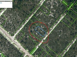 606 Strathmoor St, Lake Placid, FL 33852