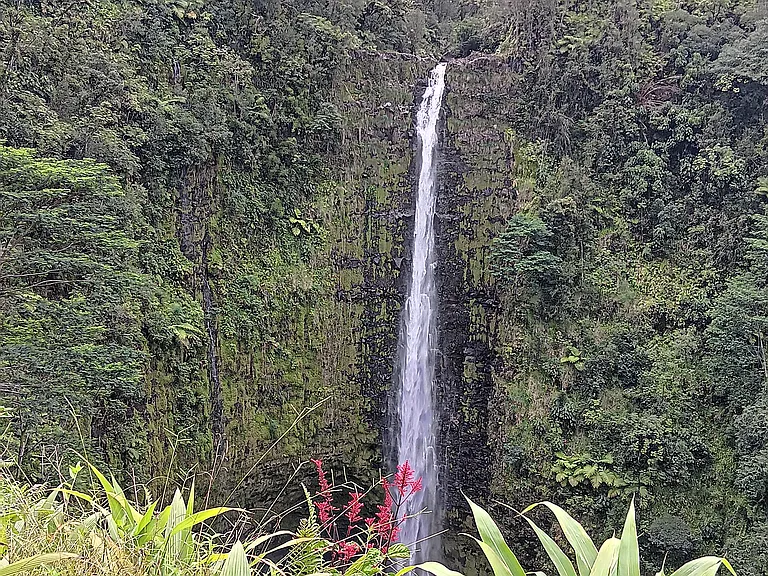 Alii Dr — Photo 54