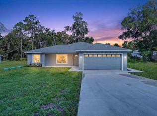 6 Bay Pass Ter, Ocklawaha, FL 32179