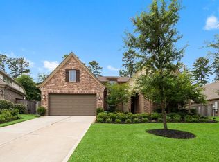 204 Terrain View Ct, Willis, TX 77318