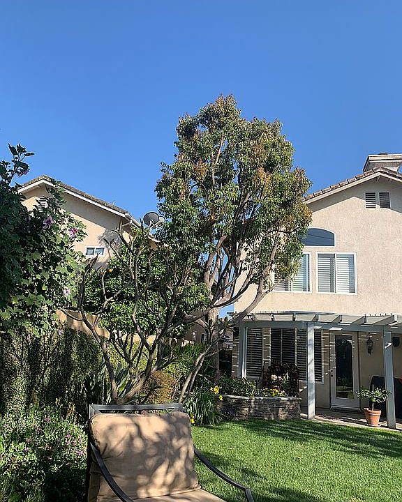 View from lounge area