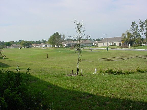 Back view The 16th Tee