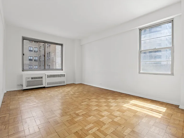 225 E 46th St #8C — Photo 10