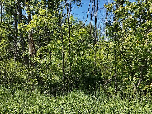 5th image of Dredge Ditch Rd