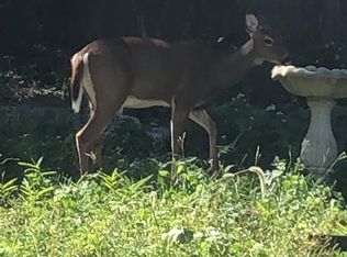 645 Riddle Rd APT 1, Cincinnati, OH 45220