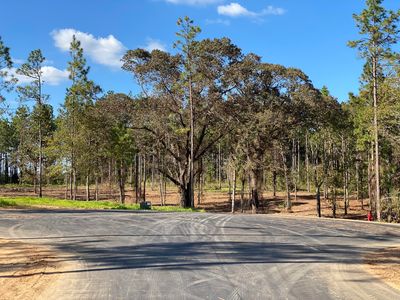 24 McBriar LOT 5, Purvis, MS, 39475