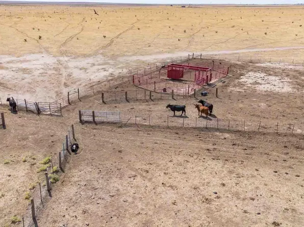 Buffalo Lake Road Auction, Canyon, TX 79015