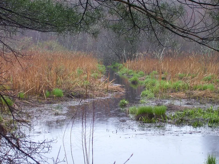 1 mile TIDAL ESTUARY