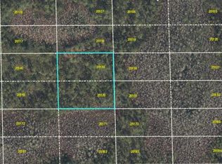 Dill Rd LOT 390, Orlando, FL 32820