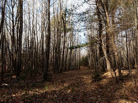 5th image of ON LAKE RD