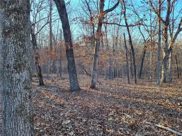 Wenzel Pl #216, Edwards, MO 65326