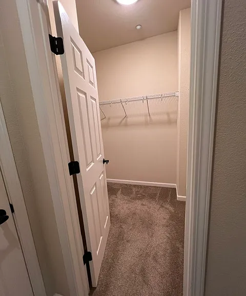 2413 Las Palomas Loop — Photo 10