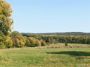 10661 Cook Rd, Pavilion, NY 14525