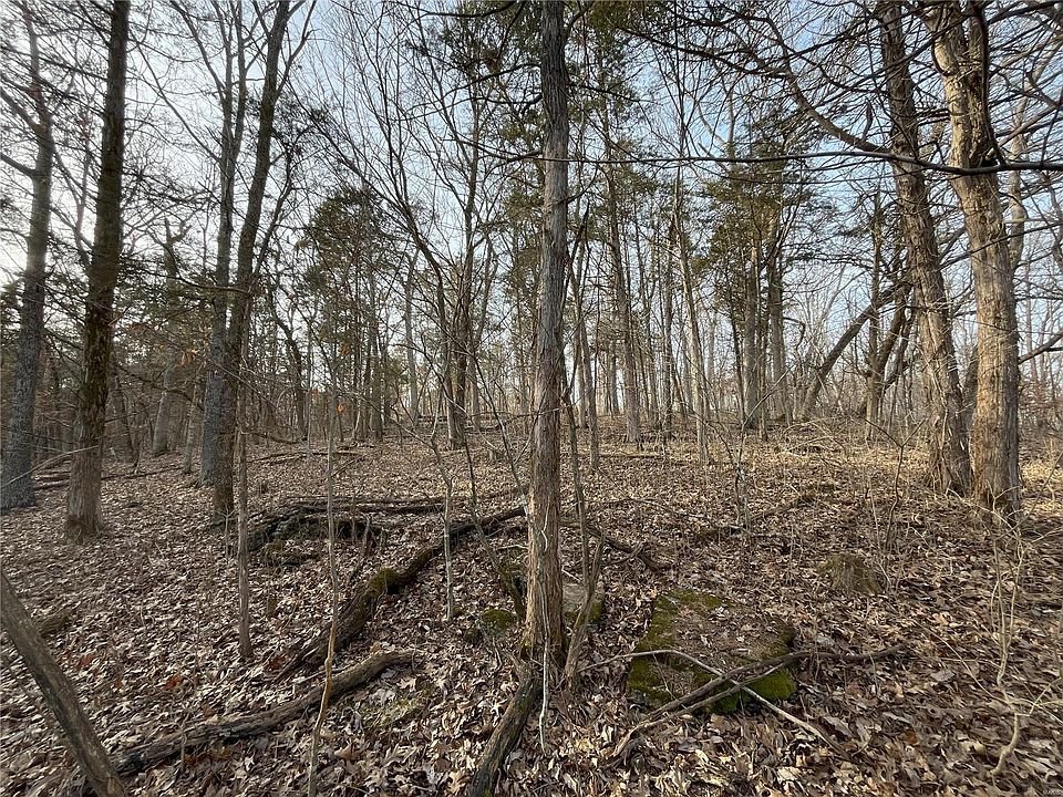 2nd image of 2547 Alpine Woods Dr