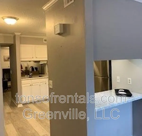 805 Stallings Rd #109 — Photo 8