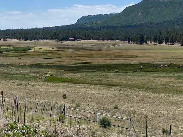 42716 Us Highway 180, Alpine, AZ 85920