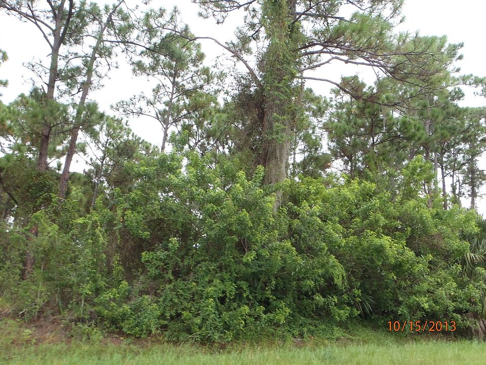 2nd image of 0 Buchanan Dr