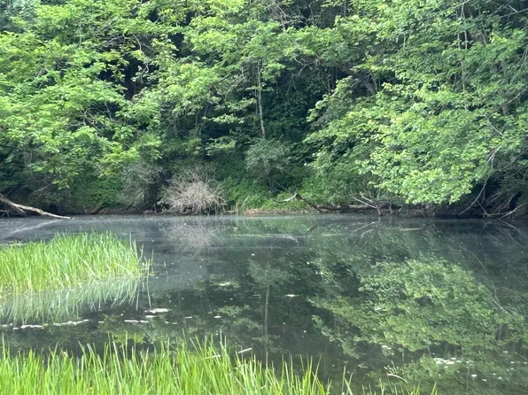 1328 Moyers Rd, Bruceton Mills, WV 26525