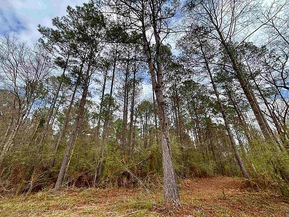 4th image of 3 Hinton Rd