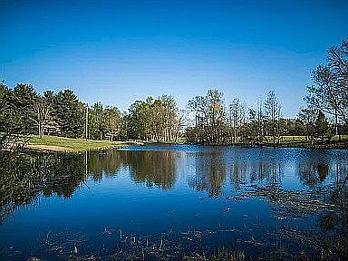 pond