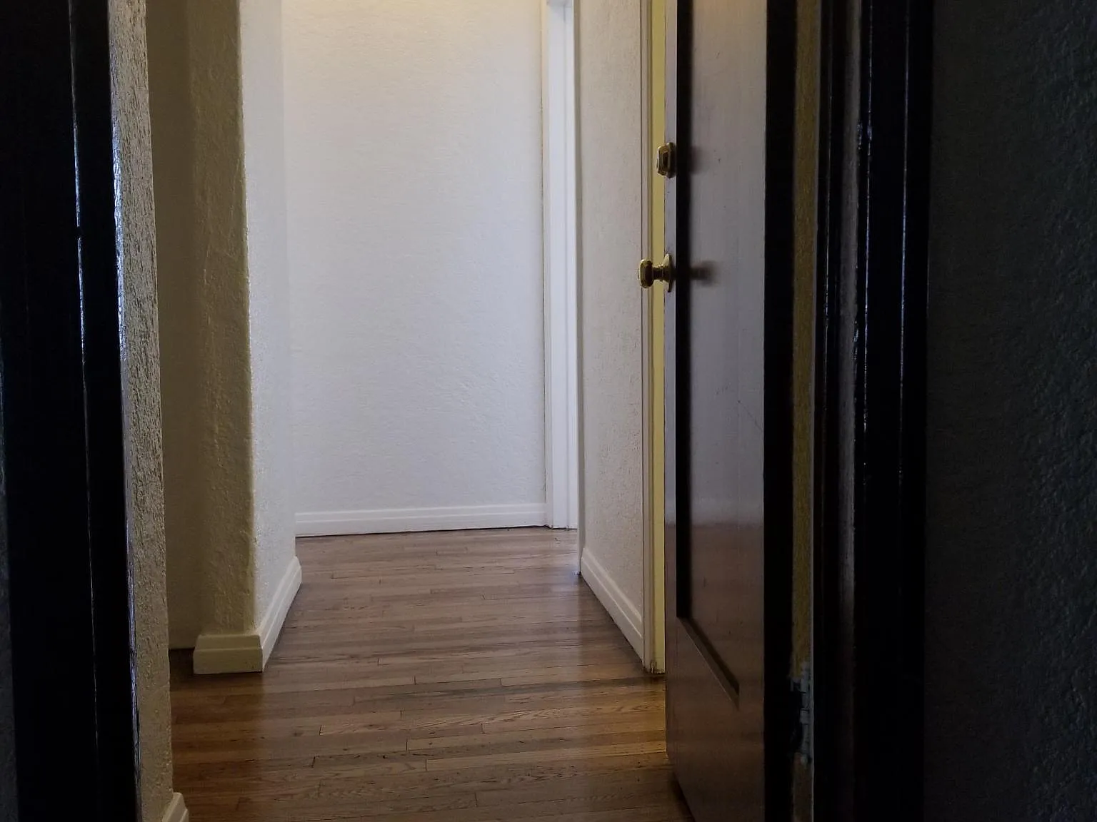 1 bed, 650 sqft, $1,895 — Photo 2