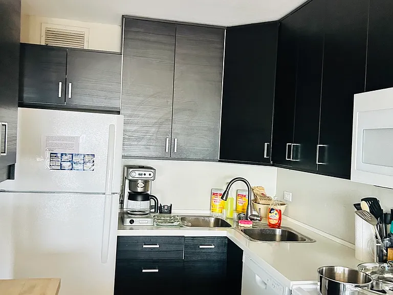 3930 N Pine Grove Ave #2602 — Photo 17