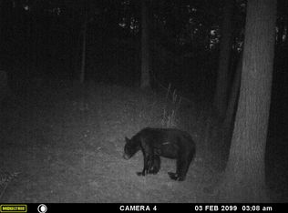 RT2 Road Run, Elizabeth Rd, WV 26143