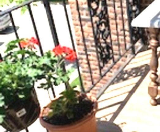 2nd image of 1601 N 76th Ct APT 304