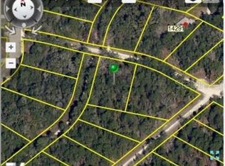 Cedarwood Ave, WEEKI WACHEE, FL 34614