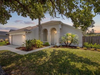382 FOUNTAINVIEW CIRCLE, Oldsmar, FL, 34677