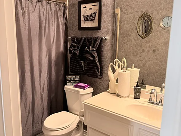Hall bathroom