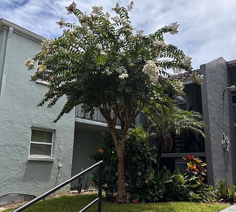 2nd image of 14419 Americana Cir APT 205
