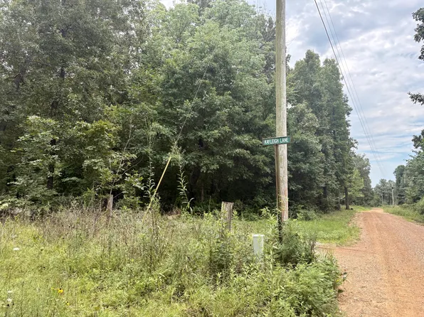 100 Kayleigh Ln, Imboden, AR 72434
