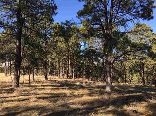 13536 Frontier Loop, Piedmont, SD 57769