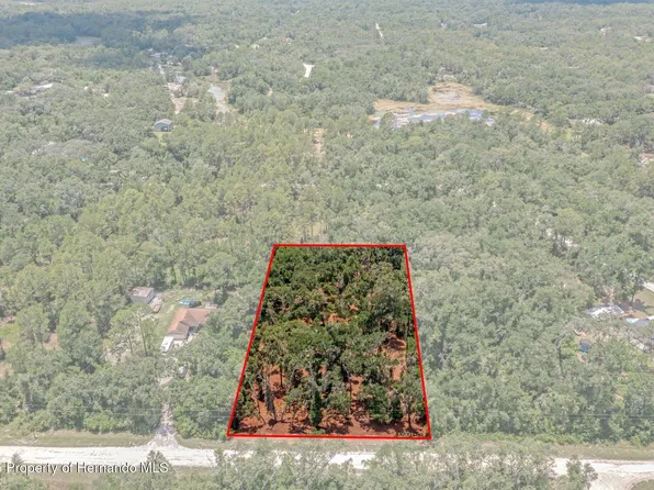 0 Ruby Ave., Webster, FL 33597